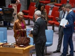 Appel à un renforcement du soutien à la force conjointe du G5 Sahel Réunion G5 Sahel mai 2018