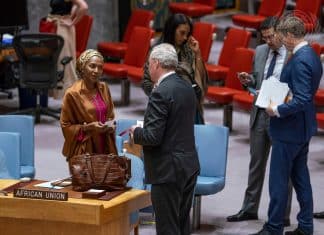 Appel à un renforcement du soutien à la force conjointe du G5 Sahel Réunion G5 Sahel mai 2018