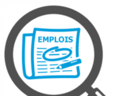 Offre d’emploi d’un an pour un Volontaire international de la Francophonie – attaché(e) à l’Observatoire Boutros-Ghali du maintien de la paix (Bruxelles) Loupe emploi