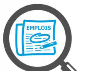 Offre d’emploi d’un an pour un Volontaire international de la Francophonie – attaché(e) à l’Observatoire Boutros-Ghali du maintien de la paix (Bruxelles) Loupe emploi