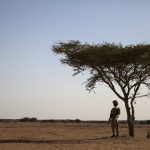 Dépasser les frontières ? Limites de l’approche stato-centrée de la MINUSMA face à la violence transnationale dans le Sahel