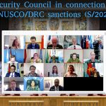 Contribution des sanctions ciblées au maintien de la paix : leçons tirées de la RDC et de la RCA