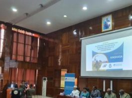 À Kinshasa, l’Observatoire veut faire avancer les réflexions sur le maintien de la paix en Afrique