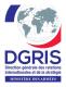 DGRIS_long client-image