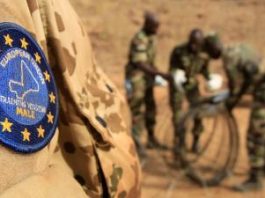 Séminaire en ligne sur la coopération militaire UE-Afrique et la facilité européenne pour la paix