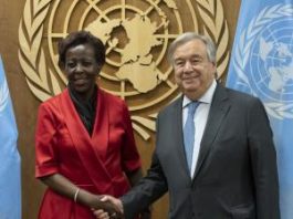 La Francophonie, partenaire clé du maintien de la paix devant le Conseil de Sécurité