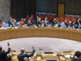 Renouvellement du mandat de la MINUSCA : les élections au cœur de l’action de la mission