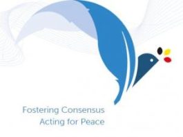 Protection des enfants dans les OMP des Nations unies : sauvegarder les ressources dédiées, protéger les droits des enfants (en ligne)