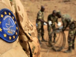 Vidéo – Wébinaire : La coopération militaire UE-Afrique et la facilité européenne pour la paix : regards croisés