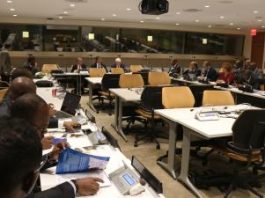 Mise en oeuvre de l’initiative « Action pour le maintien de la paix’’ (table ronde à New York)