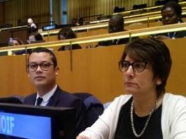 Conférence sur le maintien de la paix : la Francophonie en nombre