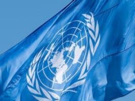 Cap sur le multilinguisme au sein des Nations unies