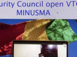 Discussions et dissonances en amont du renouvellement du mandat de la MINUSMA