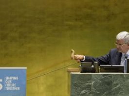L’ONU fête ses 75 ans – Entretien avec le professeur Michel Liégeois