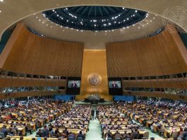 Lettre d’information de septembre 2022 77e session de l'AGNU