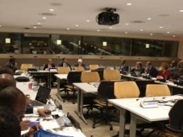 Mise en œuvre de l’initiative “Action pour le maintien de la paix” (Table ronde à New-York)