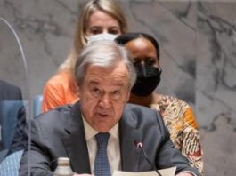 Lettre d’information de juillet 2022