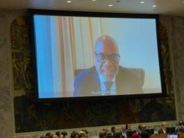 Un chercheur associé de l’OBG intervient devant le Conseil de Sécurité des Nations unies