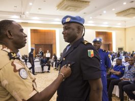 Le parcours professionnel du personnel militaire dans les OP : le Bénin et le Cameroun, deux trajectoires spécifiques