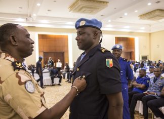 Le parcours professionnel du personnel militaire dans les OP : le Bénin et le Cameroun, deux trajectoires spécifiques