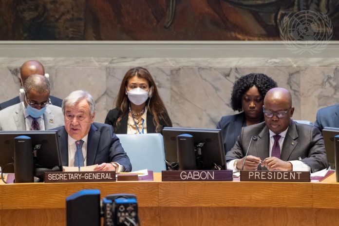 Security Council Meets on Cooperation between UN and African Union in Maintaining International Peace and Security
