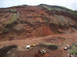 Le rôle des OP dans la lutte contre l’exploitation illégale des ressources naturelles : le cas de la MONUSCO et de la MINUSCA