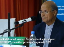 Vidéo – Intervention de Youssef Mahmoud pour le séminaire de l’Observatoire Boutros-Ghali à Dakar