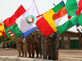 Coup d’état au Niger : vers une intervention militaire de la Cédéao ?