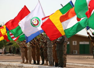 Coup d’état au Niger : vers une intervention militaire de la Cédéao ?