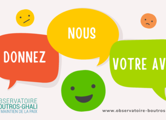 Questionnaire – Lettre d’information et activités de l’Observatoire Boutros-Ghali