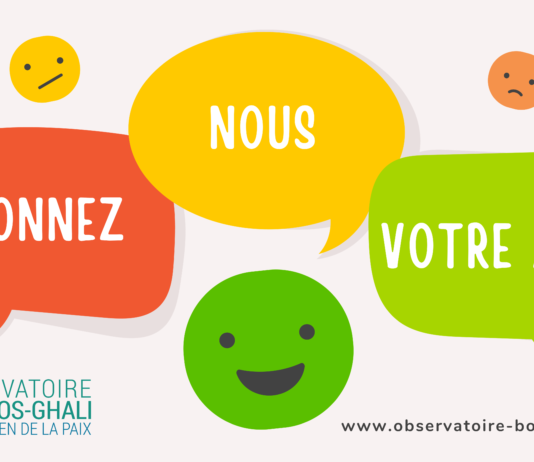 Questionnaire – Lettre d’information et activités de l’Observatoire Boutros-Ghali