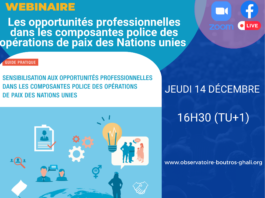 Webinaire – Les opportunités professionnelles dans les composantes police des opérations de paix des Nations unies – 14 décembre – 16h30