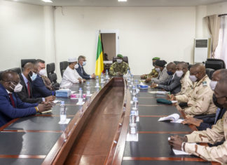 L’ONU face au défi du consentement des États hôtes d’opération de paix