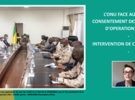 Vidéo – L’ONU Face au défi du consentement des Etats hôtes d’opération de paix – Entretien avec Camille Bayet