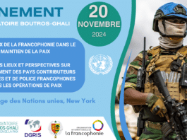 Séminaire de l’Observatoire à New York – Les enjeux de la francophonie dans le maintien de la paix – 20 novembre 2024