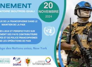 Séminaire de l’Observatoire à New York – Les enjeux de la francophonie dans le maintien de la paix – 20 novembre 2024
