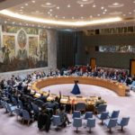 Lettre d’information de novembre 2024