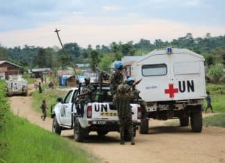 Lettre d’information de décembre 2024