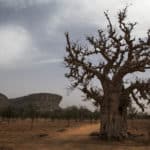 Les défis d’une approche sensible à l’environnement dans le maintien de la paix