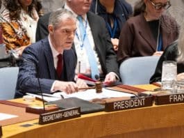 La présidence française du Conseil de sécurité des Nations unies : focus sur la protection des humanitaires et du personnel de l’ONU