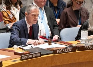 La présidence française du Conseil de sécurité des Nations unies : focus sur la protection des humanitaires et du personnel de l’ONU