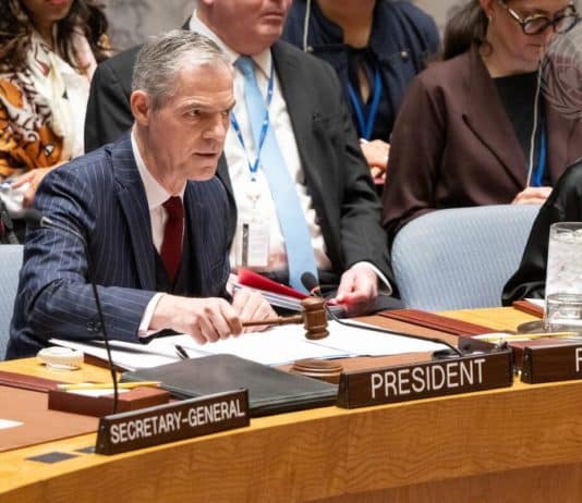 La présidence française du Conseil de sécurité des Nations unies : focus sur la protection des humanitaires et du personnel de l’ONU