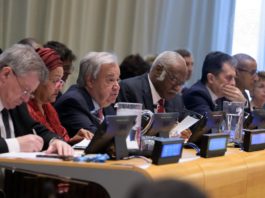 Avec l’initiative UN80, les Nations unies envisagent une réforme structurelle majeure pour faire face aux contraintes budgétaires