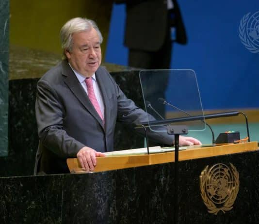 Élections de cinq nouveaux membres non permanents au Conseil de Sécurité des Nations unies