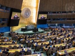 Adoption d’une résolution sur la coopération entre l’ONU et l’OIF à l’Assemblée générale des Nations unies