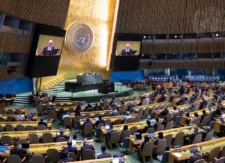 Adoption d’une résolution sur la coopération entre l’ONU et l’OIF à l’Assemblée générale des Nations unies