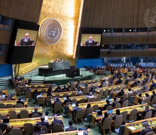 Adoption d’une résolution sur la coopération entre l’ONU et l’OIF à l’Assemblée générale des Nations unies