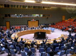 Lettre d’information de novembre 2025