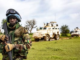 Strengthening the francophone contribution to peace operations – Avenues for reflection on a cooperative and pooled approach