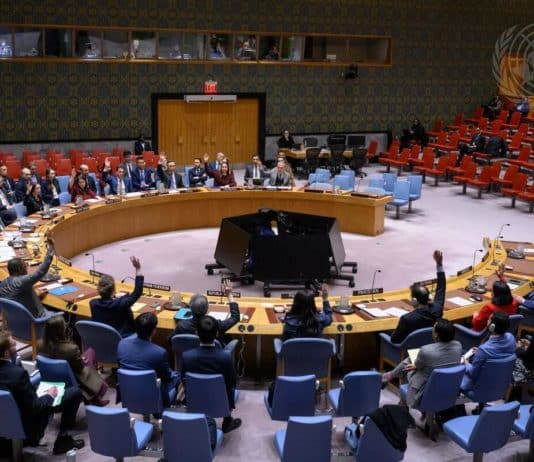 Lettre d’information de décembre 2025